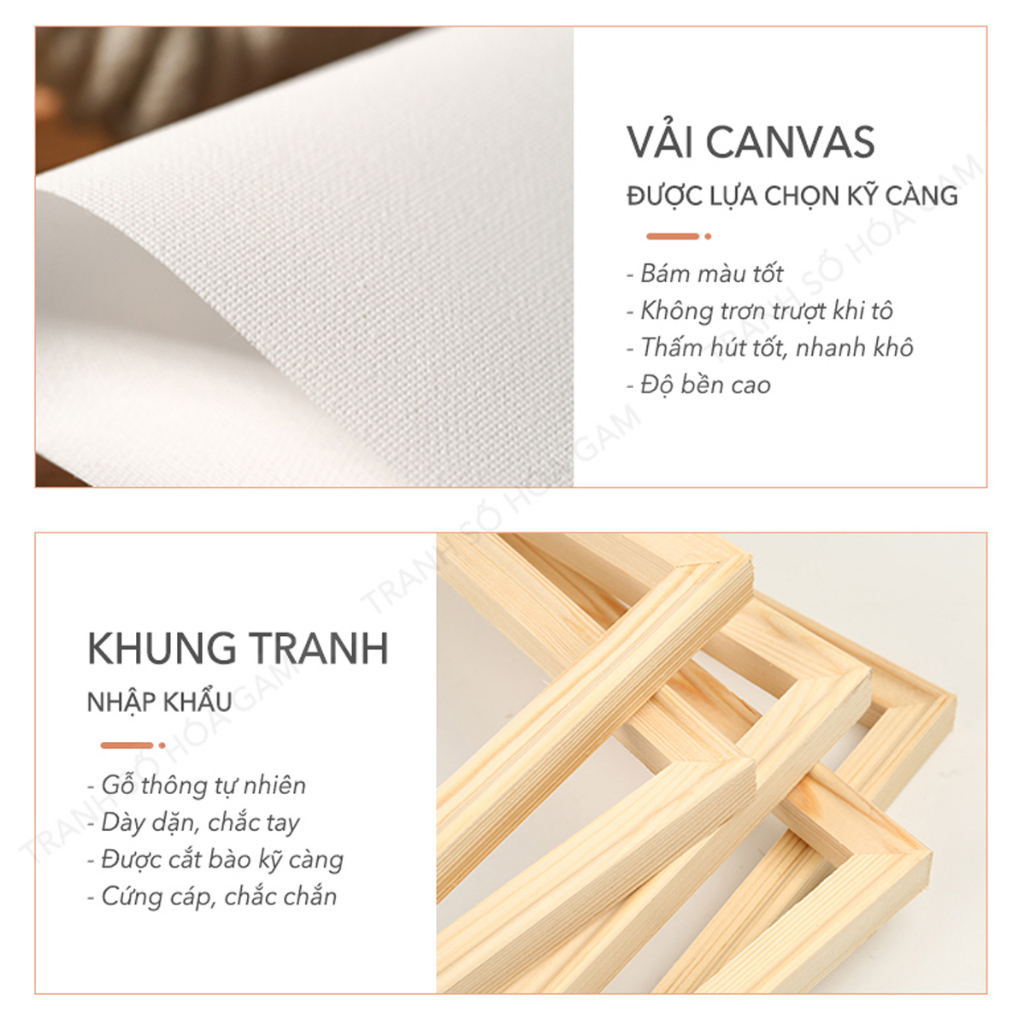 Tranh số hoá tự tô màu theo số COCI hoa mẫu đơn đỏ trong đêm TC4014 có khung