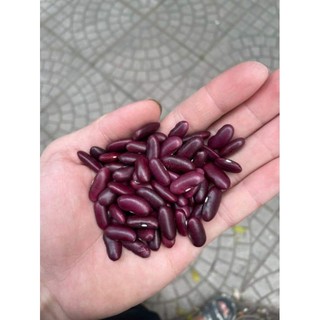 Túi 500g HẠT ĐẬU ĐỎ hạt to