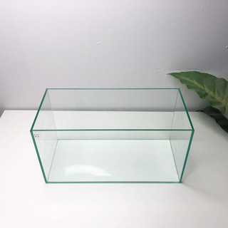 Bể Cá Mini Kích Thước 32x15x17cm Trang Trí, Để Bàn Làm Việc | RF Aquarium