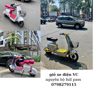 Giỏ xe điện vc,vo - rổ xe vc,vo