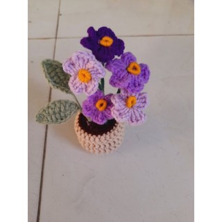 Chậu hoa  mini bằng len.