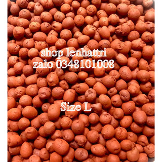 Đất sét nung sỏi nhẹ thái lan size S 1kg