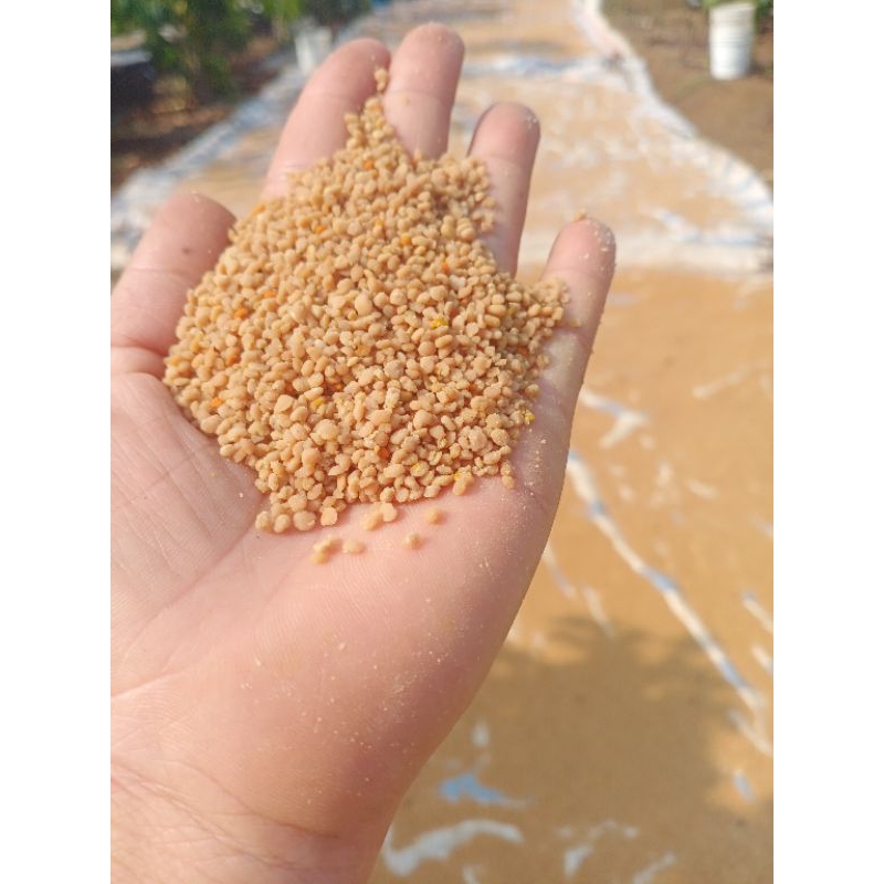 phấn cà phê sạch  để dưỡng ong .( 1kg phấn  của  trại  nuôi ong của gia đình .)