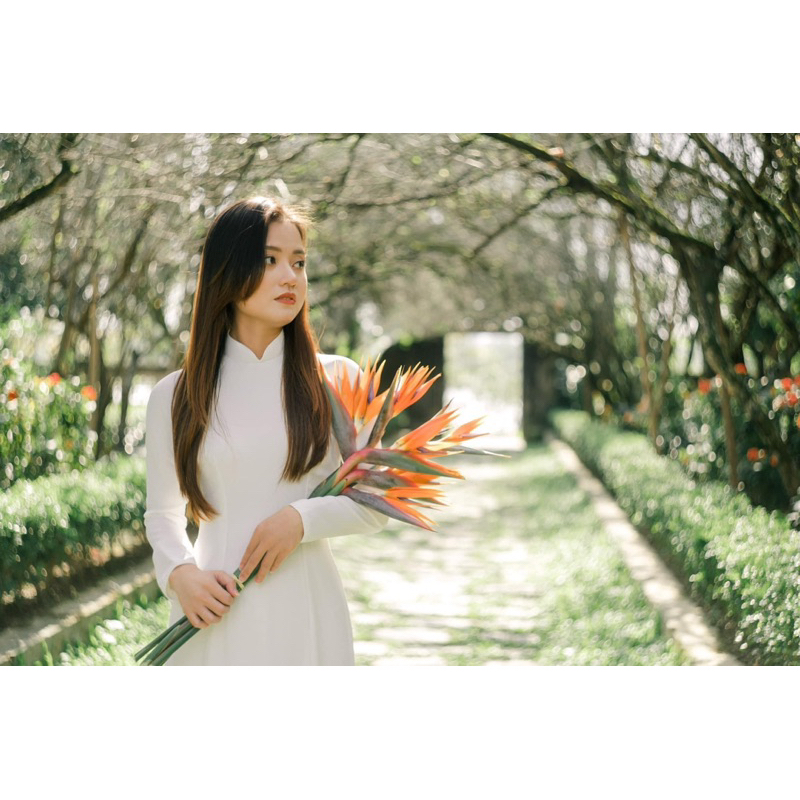 Ống kính Helios 44-2 58/2 bokeh xoáy Rehouse