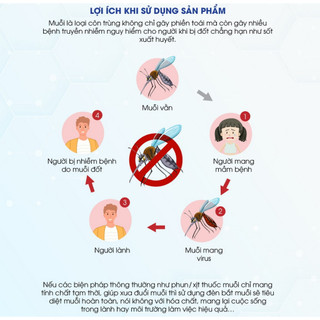 Đèn Bắt Muỗi Rạng Đông, Đèn Bắt Côn Trùng Rạng Đông