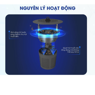 Đèn Bắt Muỗi Rạng Đông, Đèn Bắt Côn Trùng Rạng Đông
