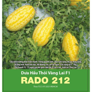 Hạt giống dưa hấu thỏi vàng