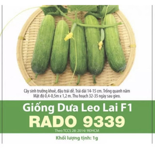 Hạt giống Dưa Leo Rạng Đông