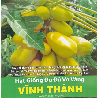 Đu đủ vỏ vàng Vĩnh Thành (5 hạt)