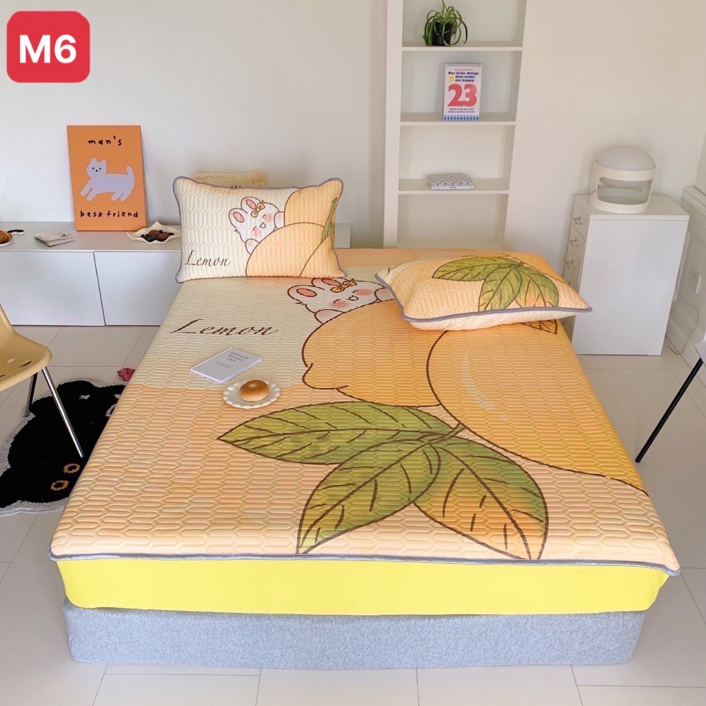 Chiếu Điều Hoà Cao Su Non 5D Latex Bo Chun MarkCross  - TCGX