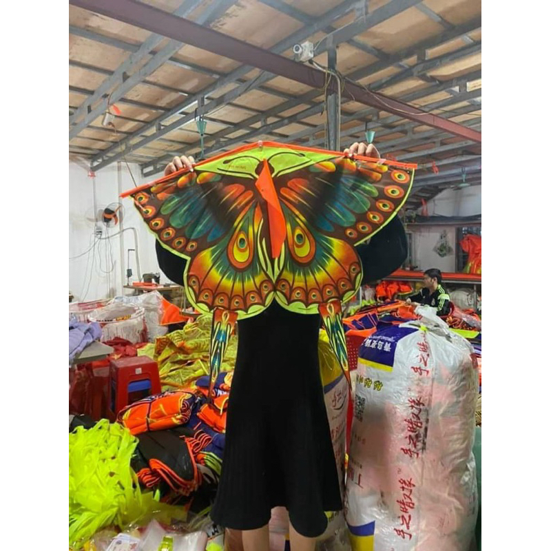 Diều thả,diều hình bướm cho bé gái, diều thả ngoài trời cho bé,con diều độc lạ,diều cầm tay,diều hoạt hình