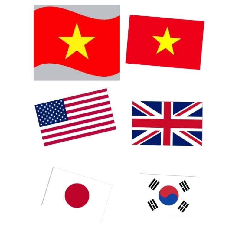 Hình ủi nhiệt, in áo. Hình lá cờ Việt Nam và các nước