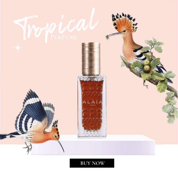 Nước hoa Alaia Alaia - Paris Blanche For Women EDP 5ml/10ml/20ml