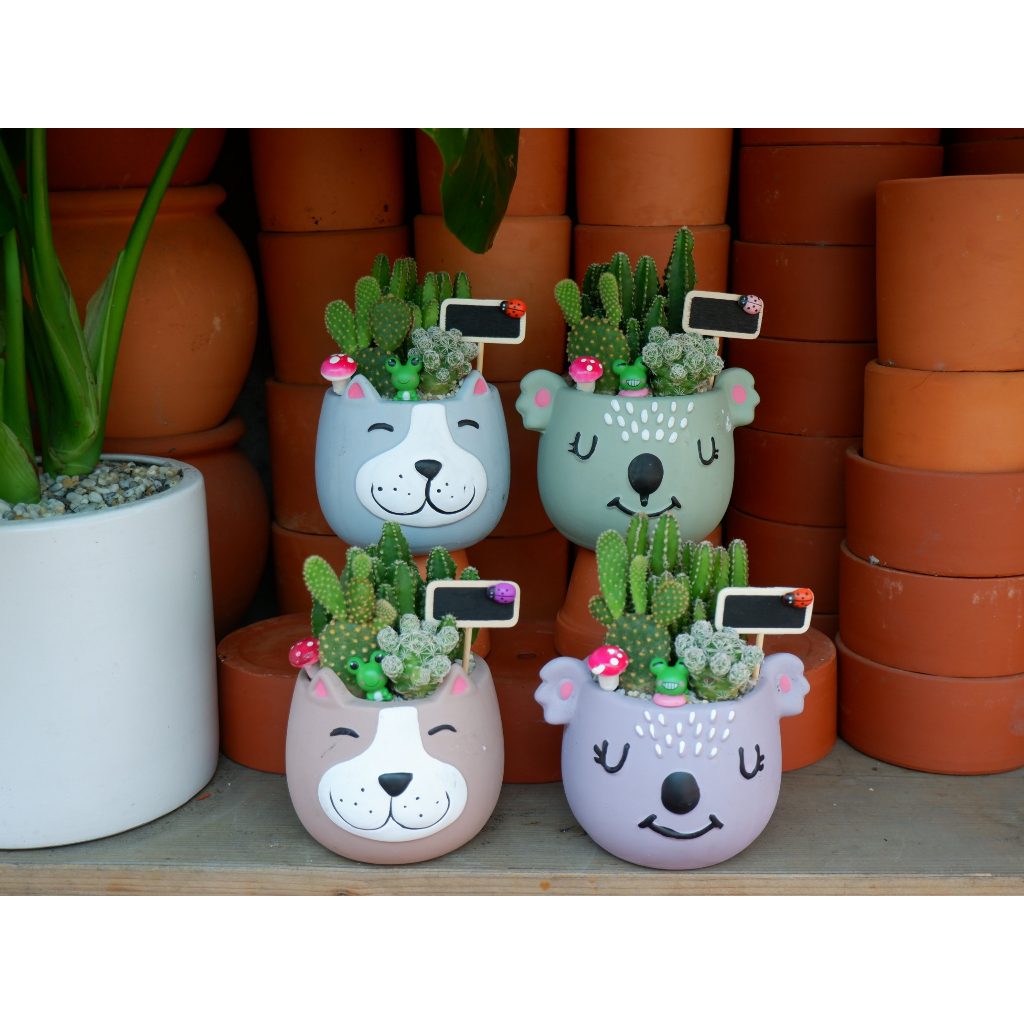 Tiểu Cảnh Xương Rồng Chậu Hình Thú Đáng Yêu - Quà Tặng Ý Nghĩa Độc Đáo ( Set Tự Trồng Hoặc Trồng Sẵn )