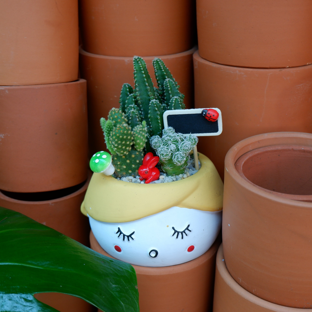 Tiểu Cảnh Xương Rồng Chậu Hình Cô Gái Đáng Yêu - Quà Tặng Ý Nghĩa Độc Đáo Tặng kèm túi Phụ Kiện Trang Trí