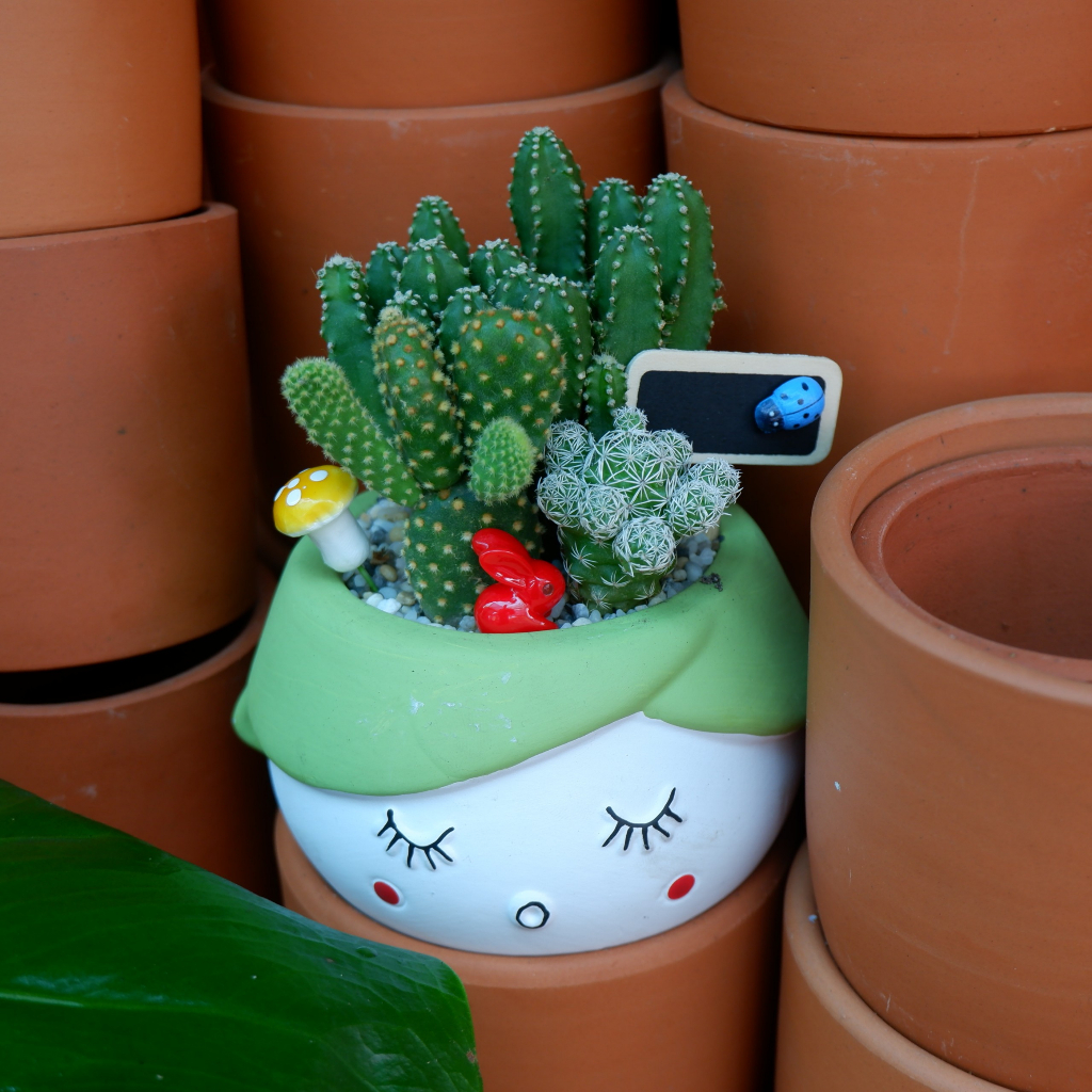 Tiểu Cảnh Xương Rồng Chậu Hình Cô Gái Đáng Yêu - Quà Tặng Ý Nghĩa Độc Đáo Tặng kèm túi Phụ Kiện Trang Trí