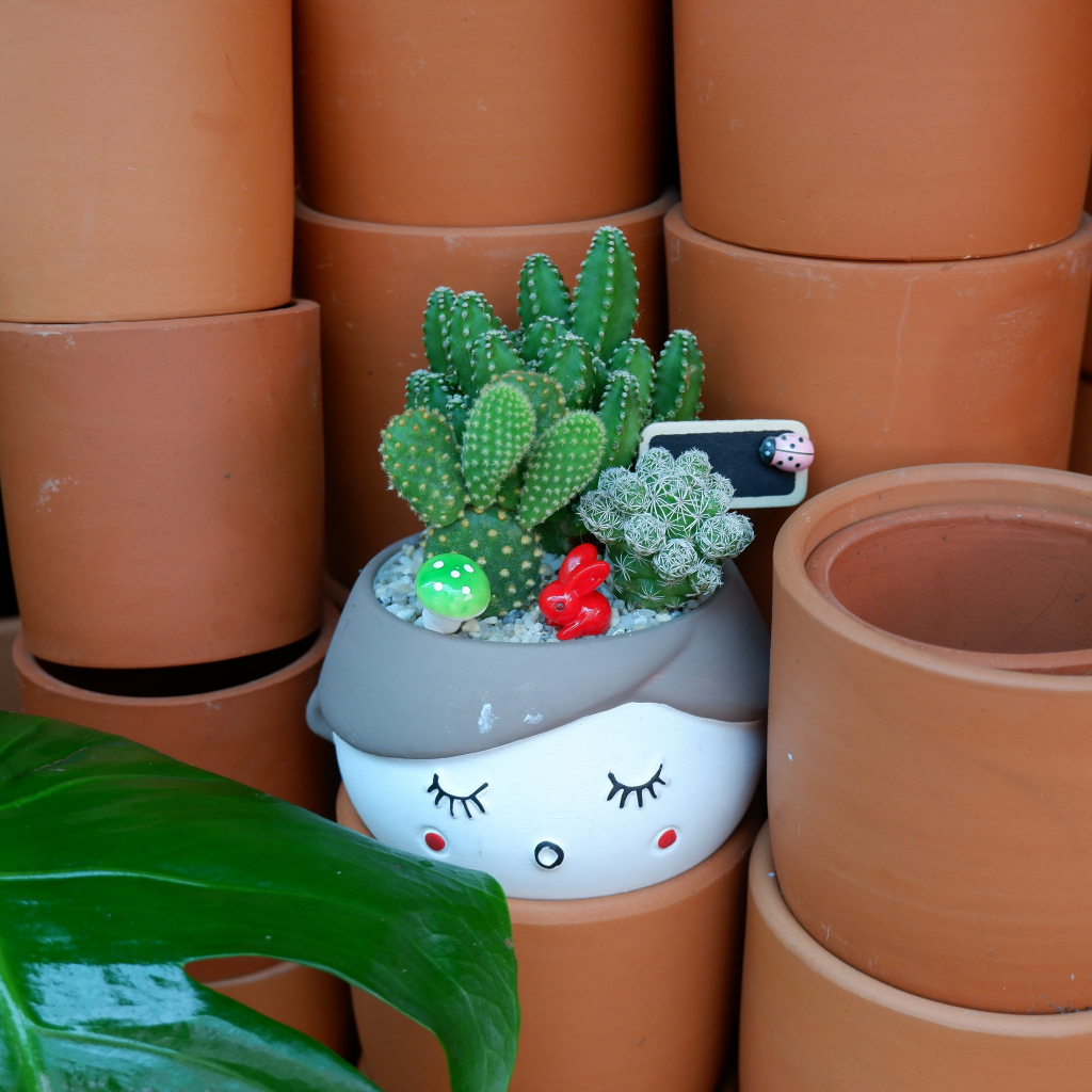 Tiểu Cảnh Xương Rồng Chậu Hình Cô Gái Đáng Yêu - Quà Tặng Ý Nghĩa Độc Đáo Tặng kèm túi Phụ Kiện Trang Trí