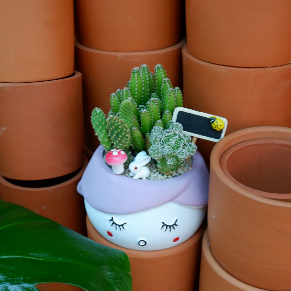 Tiểu Cảnh Xương Rồng Chậu Hình Cô Gái Đáng Yêu - Quà Tặng Ý Nghĩa Độc Đáo Tặng kèm túi Phụ Kiện Trang Trí