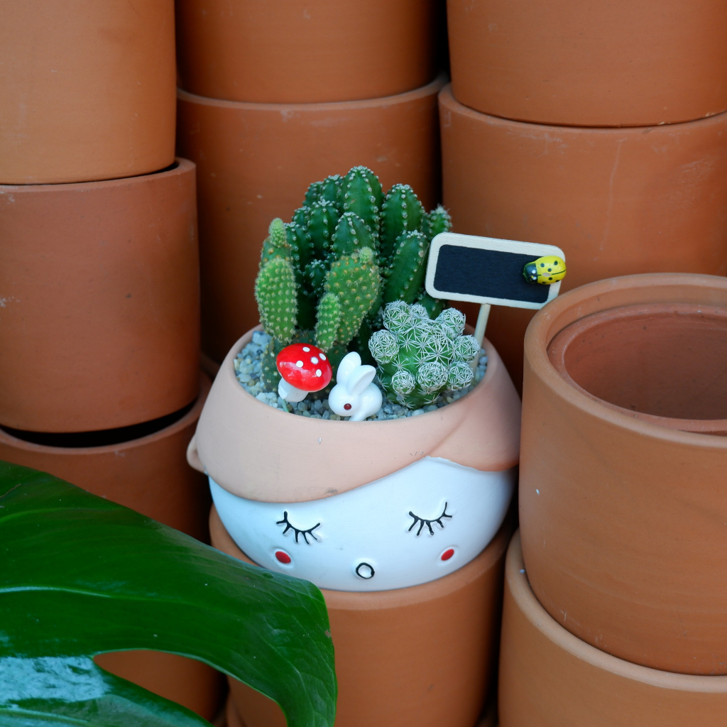 Tiểu Cảnh Xương Rồng Chậu Hình Cô Gái Đáng Yêu - Quà Tặng Ý Nghĩa Độc Đáo Tặng kèm túi Phụ Kiện Trang Trí