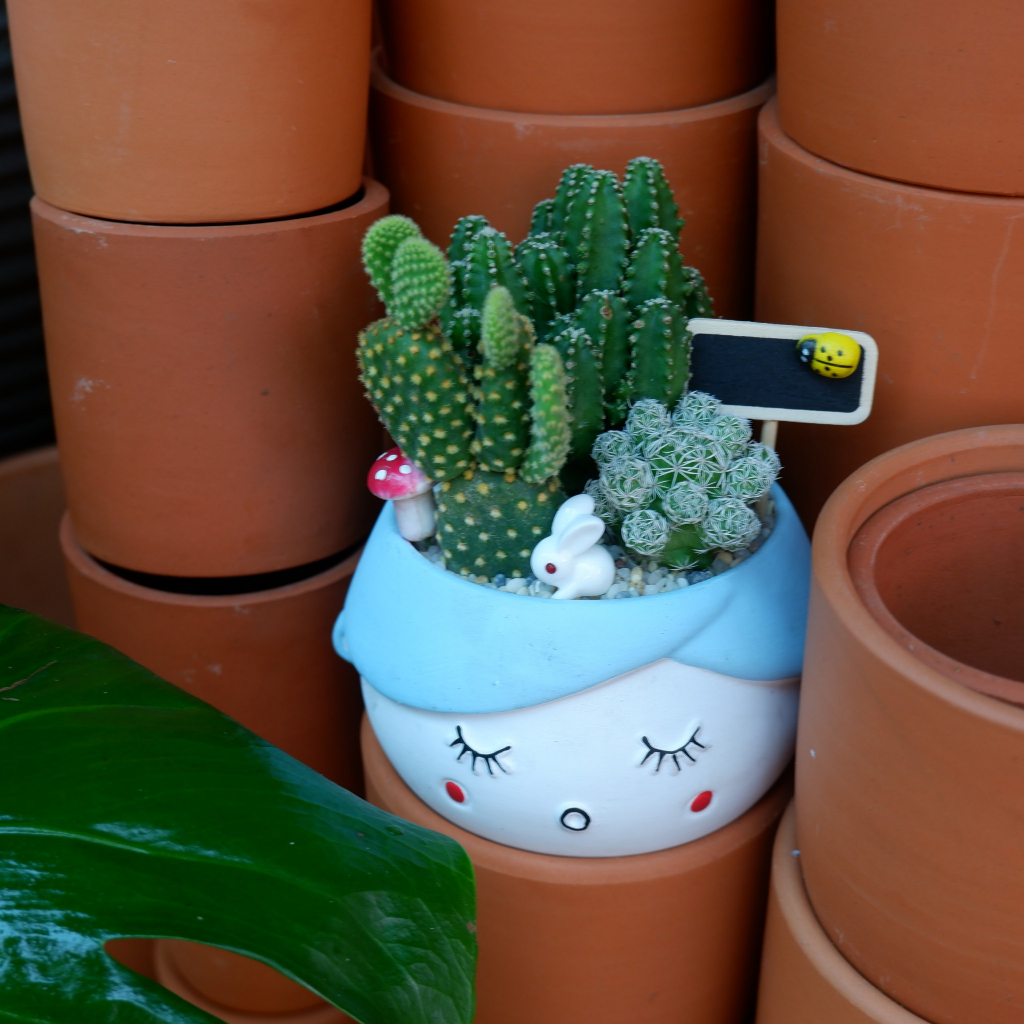 Tiểu Cảnh Xương Rồng Chậu Hình Cô Gái Đáng Yêu - Quà Tặng Ý Nghĩa Độc Đáo Tặng kèm túi Phụ Kiện Trang Trí