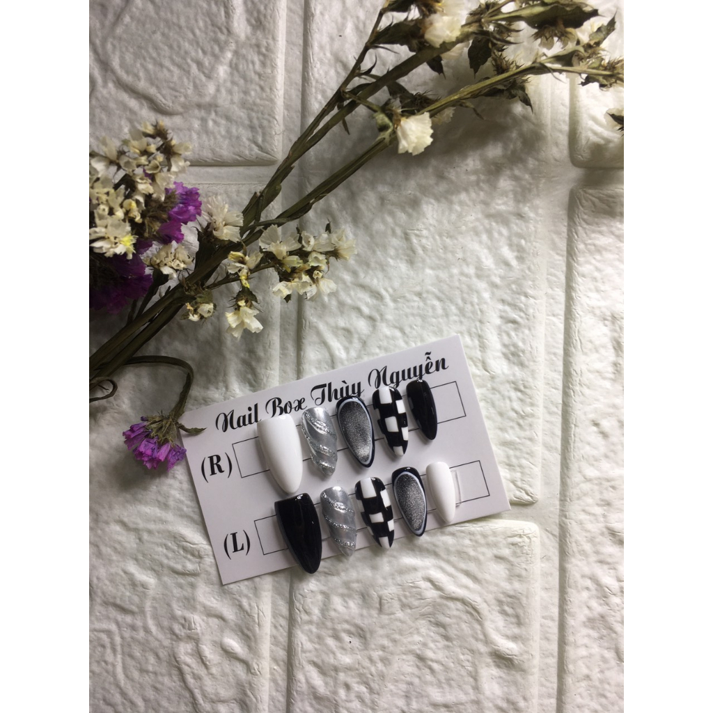 Nailbox móng úp kem caroo kèm keo dũa nail