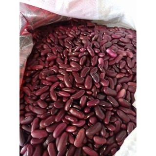 Túi 500g HẠT ĐẬU ĐỎ hạt to