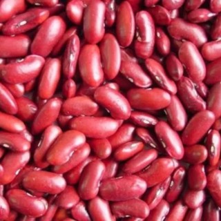 Túi 500g HẠT ĐẬU ĐỎ hạt to