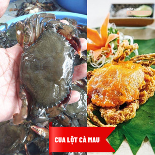 [HCM] Cua lột Cà Mau - 400g/túi (2-4 con)