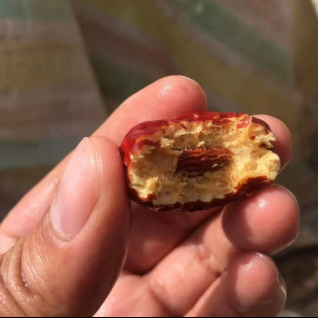 Táo bụi Nhược Khương Size Đại Tân Cương Trung quốc Túi 1kg