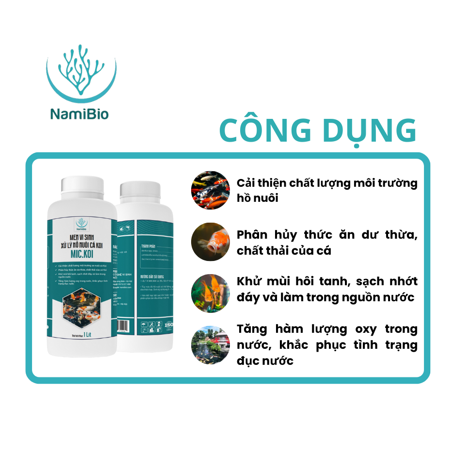 Chế phẩm sinh học MIC.KOI cho cá cảnh, cá koi