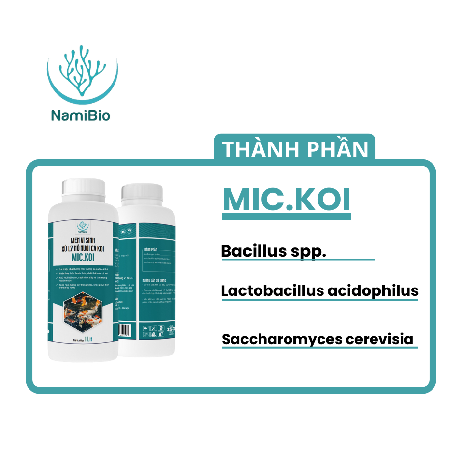 Chế phẩm sinh học MIC.KOI cho cá cảnh, cá koi