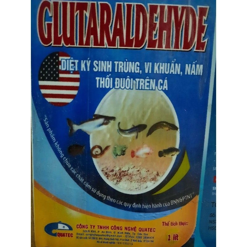 Glutaraldehyde - Diệt ký sinh trùng, vi khuẩn, nấm, thối đuôi trên cá