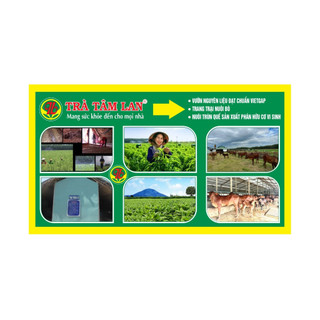 TRÀ VỐI TÂM LAN hộp 80g được 20 túi lọc