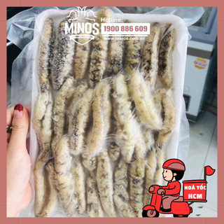 500g Hải sâm baby I Minos Seafood