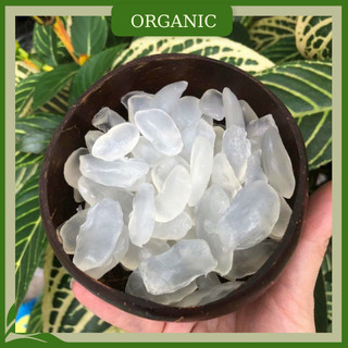 Thốt nốt sấy dẻo Organic không đường, giòn dai xựt xựt siêu bổ dưỡng, ăn liền hoặc mix cùng chè, trà sữa
