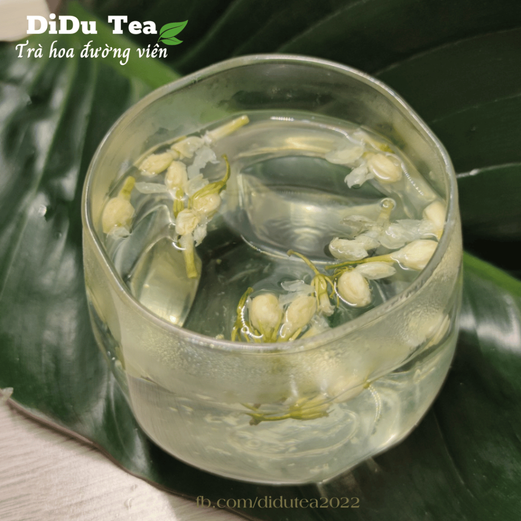 Trà Hoa Nhài  100gr Sấy Lạnh Nguyên Bông Trắng Đẹp Thượng Hạng
