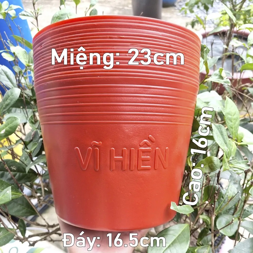 10 Chậu Nhựa Đỏ C9 Miệng,cao,đáy 23x16x16.5cm trồng cây ăn trái và hoa siêu bền-77700