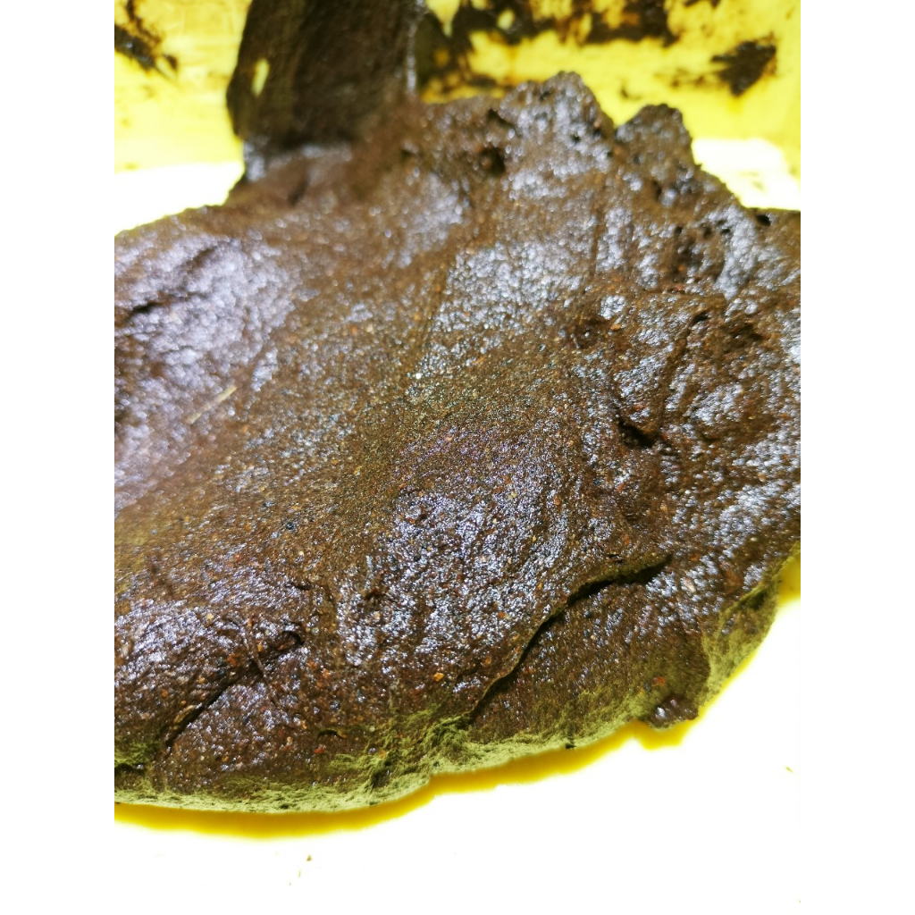 Mùn kết dính cho bể terrarium