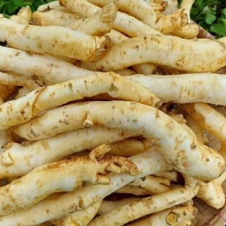 Đinh Lăng Sấy Dẻo - Mứt Đinh Lăng