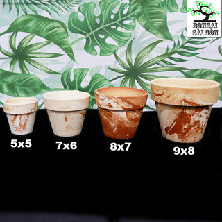 chậu đất nung pha(marble mini)