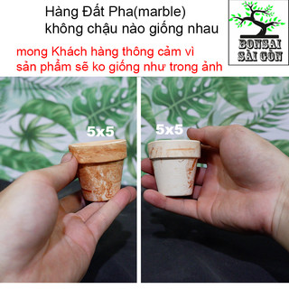 chậu đất nung pha(marble mini)