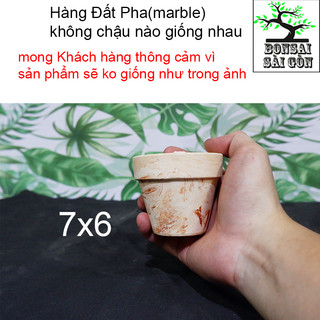 chậu đất nung pha(marble mini)