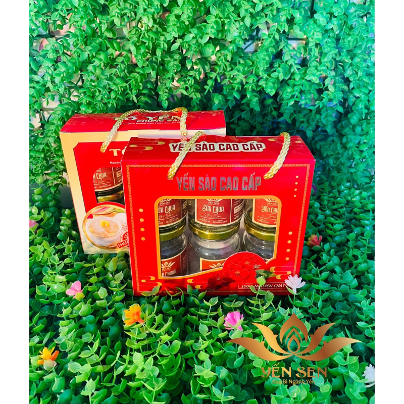 Túi đựng 6 hủ yến không khay giá siêu rẻ