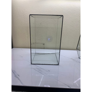 Bình kính làm terrarium , tráng trí tiểu cảnh..