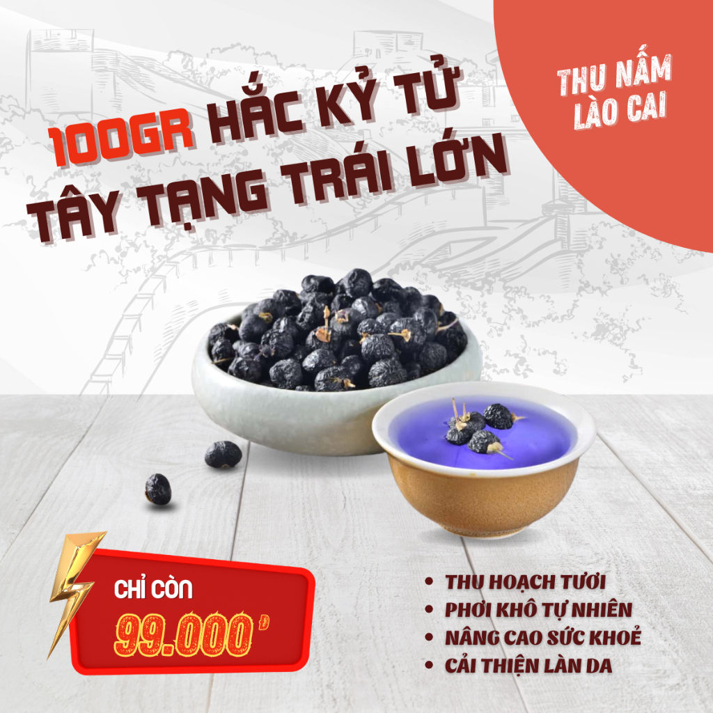 Hắc Kỷ tử Tây Tạng trái lớn - Hắc Kỷ Tử Tây Tạng trái to