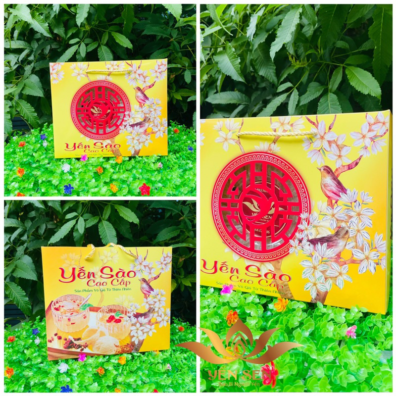 Túi đựng yến tổ sang trọng giá siêu rẻ