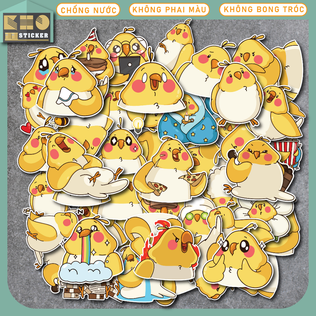 Combo 50 Sticker Yellow Chicken chống nước sticker dán laptop, điện thoại, đàn guitar, mũ bảo hiểm, vali. MSP: ST149