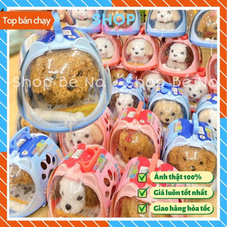 Đồ chơi chó bông lồng thú cưng biết đi biết kêu dễ thương cho bé bộ đồ chơi chăm sóc thú cưng, chó cưng dành cho trẻ