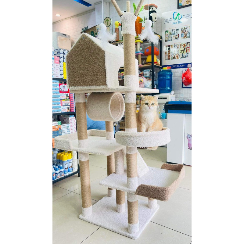 Đồ chơi trụ cào móng cho mèo - Cattree đồ chơi nhà cây cho mèo