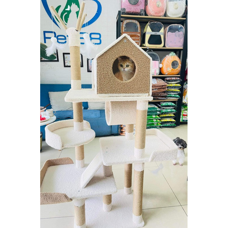 Đồ chơi trụ cào móng cho mèo - Cattree đồ chơi nhà cây cho mèo